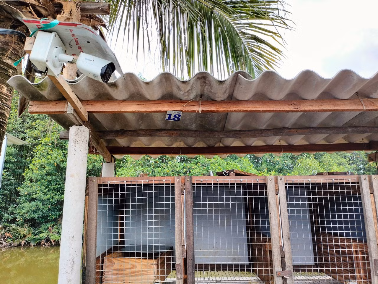 Mặc dù người dân lắp camera quan sát nhưng chỉ hạn chế được một phần nạn trộm chồn.