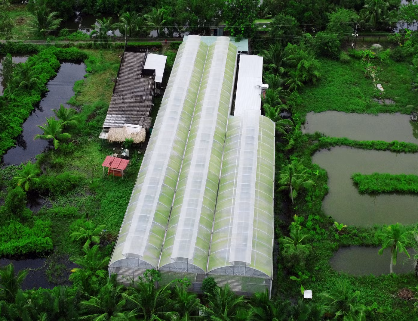 Khuôn viên mô hình trồng rau thủy canh của ông Phạm Văn Biển có vị trí tại ấp 2, xã An Xuyên, thành phố Cà Mau.