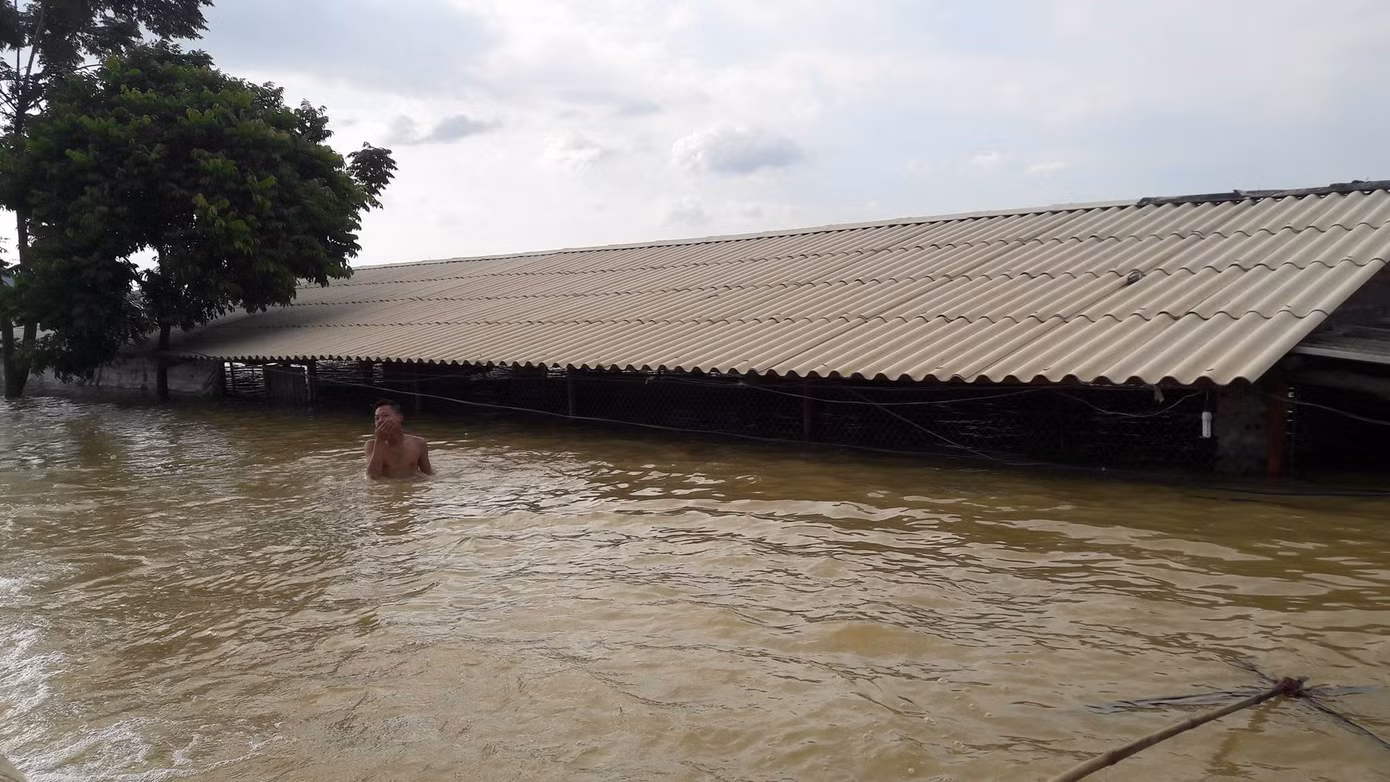 Nhiều xã ở Hà Nội bị nước lũ cô lập vì sự cố đê điều ảnh 1
