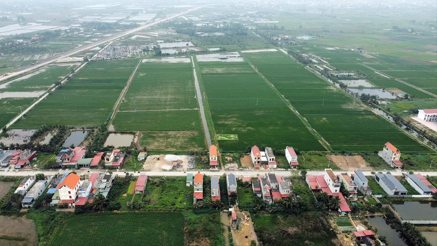 Một góc cánh đồng lúa tại xã Đoàn Xá (Kiến Thụy, Hải Phòng). Ảnh: Nguyễn Hoàn