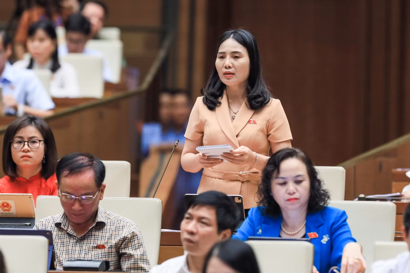 ĐBQH chất vấn các thành viên Chính phủ ảnh: như ý