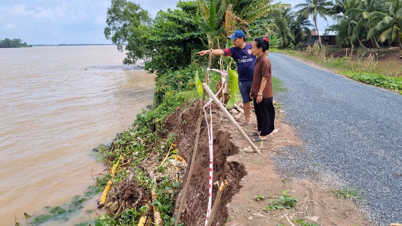 Sạt lở bờ sông Hậu dọc tuyến đường giao thông ven sông mới đưa vào khai thác năm 2021, đoạn qua huyện Cầu Kè, tỉnh Trà Vinh Ảnh: Cảnh Kỳ