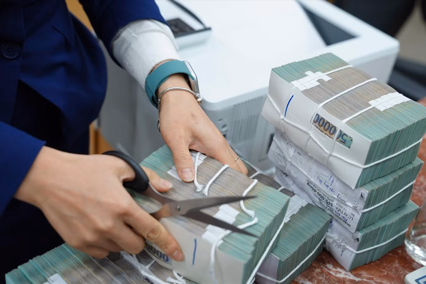 Nhiều ngân hàng đã công bố danh sách cổ đông sở hữu từ 1% vốn điều lệ. Ảnh: Như Ý.
