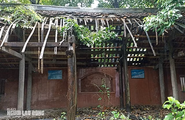 Mái ngói đổ sập khiến mưa nắng làm nhiều cấu kiện gỗ bên trong ngôi nhà bị mối mọt, hư hỏng.