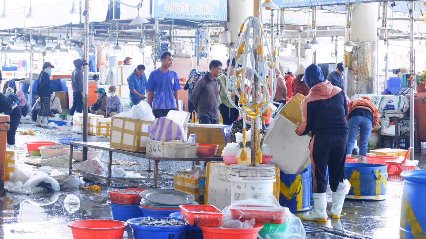 Phiên chợ tại cảng cá Thọ Quang nhộn nhịp những ngày đầu năm. Chợ bắt đầu họp từ khoảng 13h đến 16h hằng ngày để thu mua các loại hải sản của ngư dân miền Trung. (Ảnh: Nguyễn Thành)