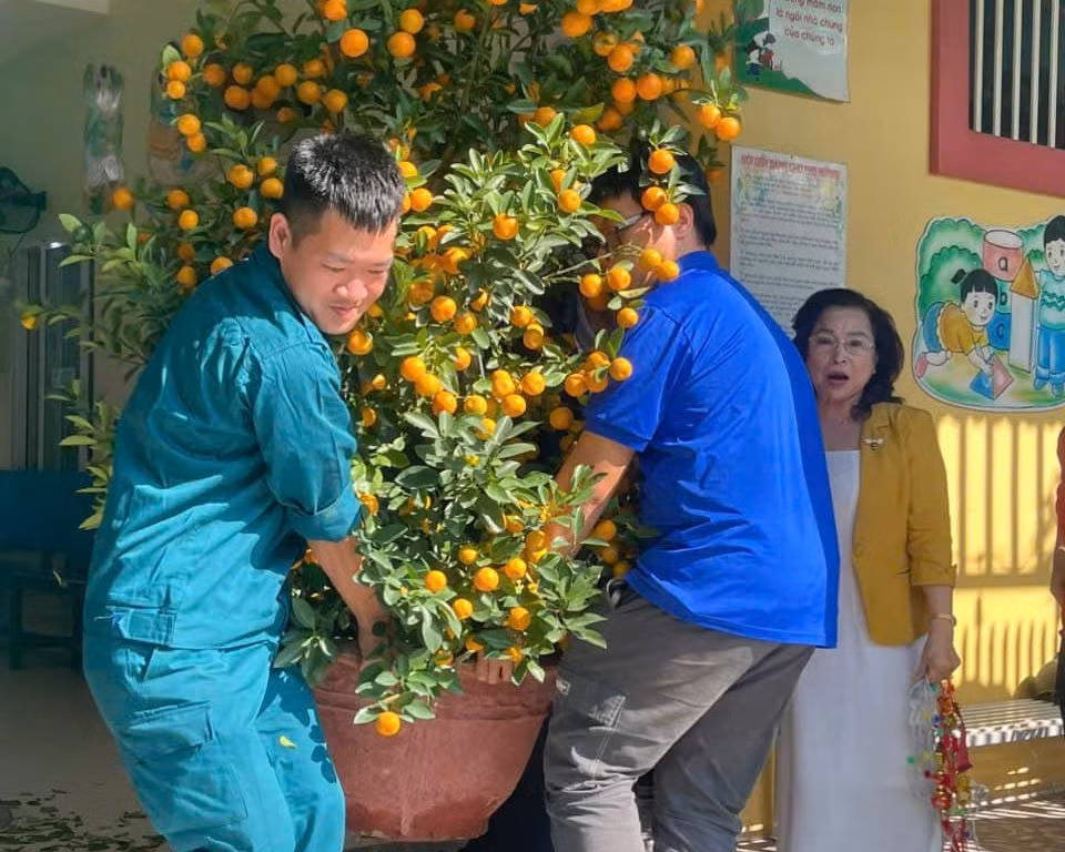 Thanh niên đoàn phường An Hải Bắc, quận Sơn Trà nhận cây quyên góp của người dân.