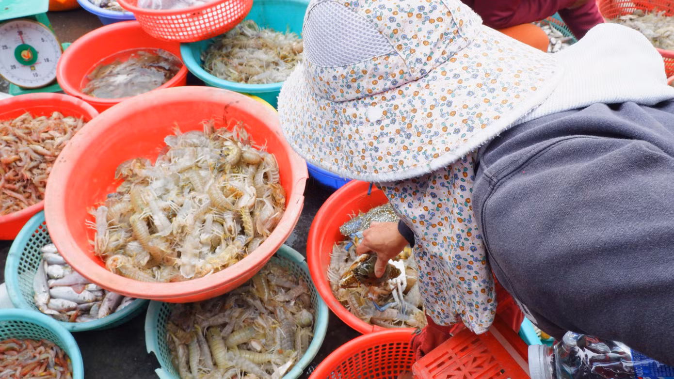 Tiểu thương tự tay lựa chọn các loại hải sản tươi ngon, nhiều loại còn sống ngay tại cảng cá Thọ Quang.
