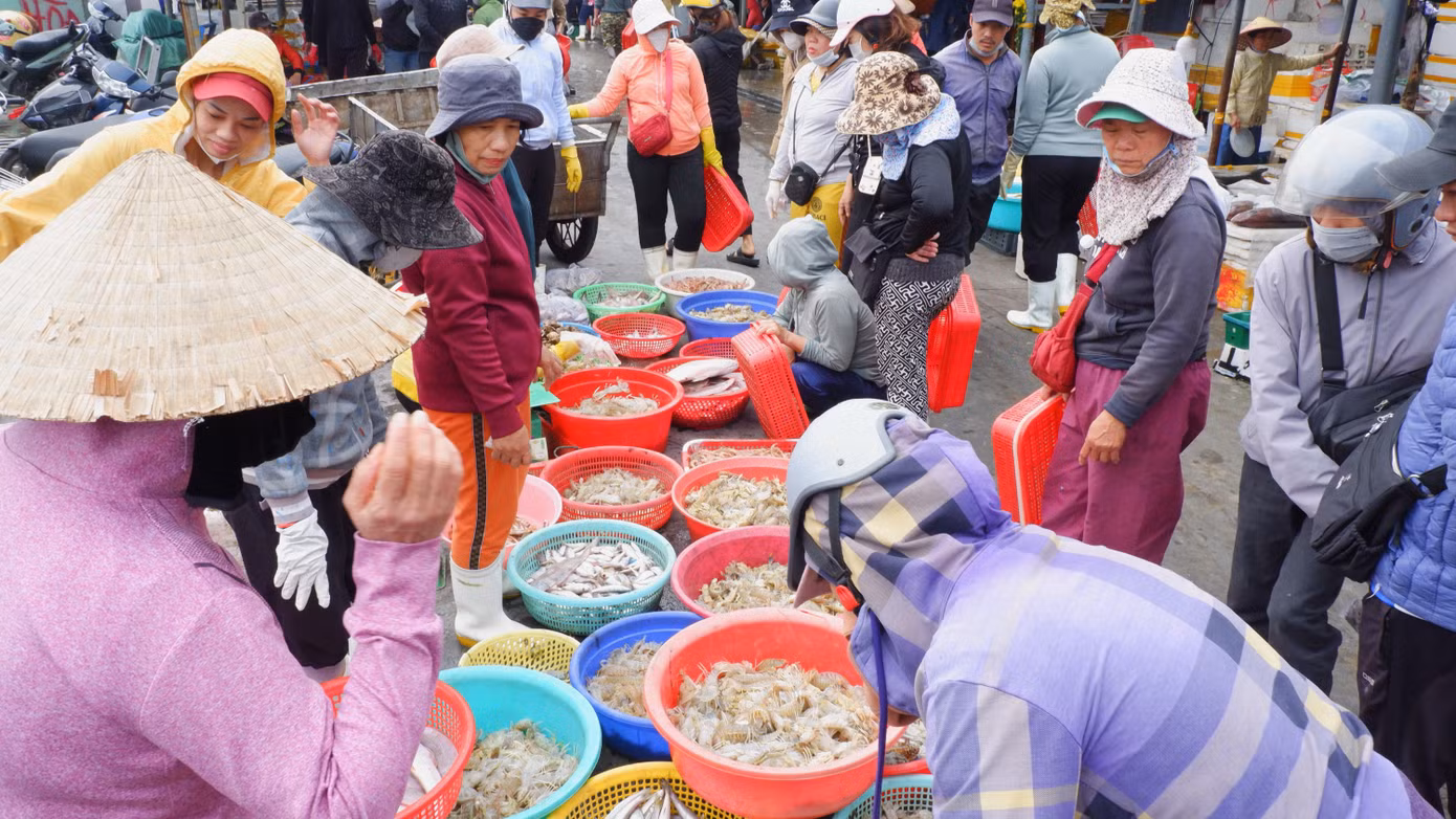 Hiện nay, giá hải sản đã bắt đầu tăng khoảng 5% với những loại hải sản tiêu thụ chính dịp Tết như: cá thu, cá ngừ, mực, cá hố… Cũng theo các tiểu thương, nhu cầu tiêu thụ hải sản dịp Tết của thị trường sẽ tăng, kéo theo đó thì giá cũng sẽ tăng cao.