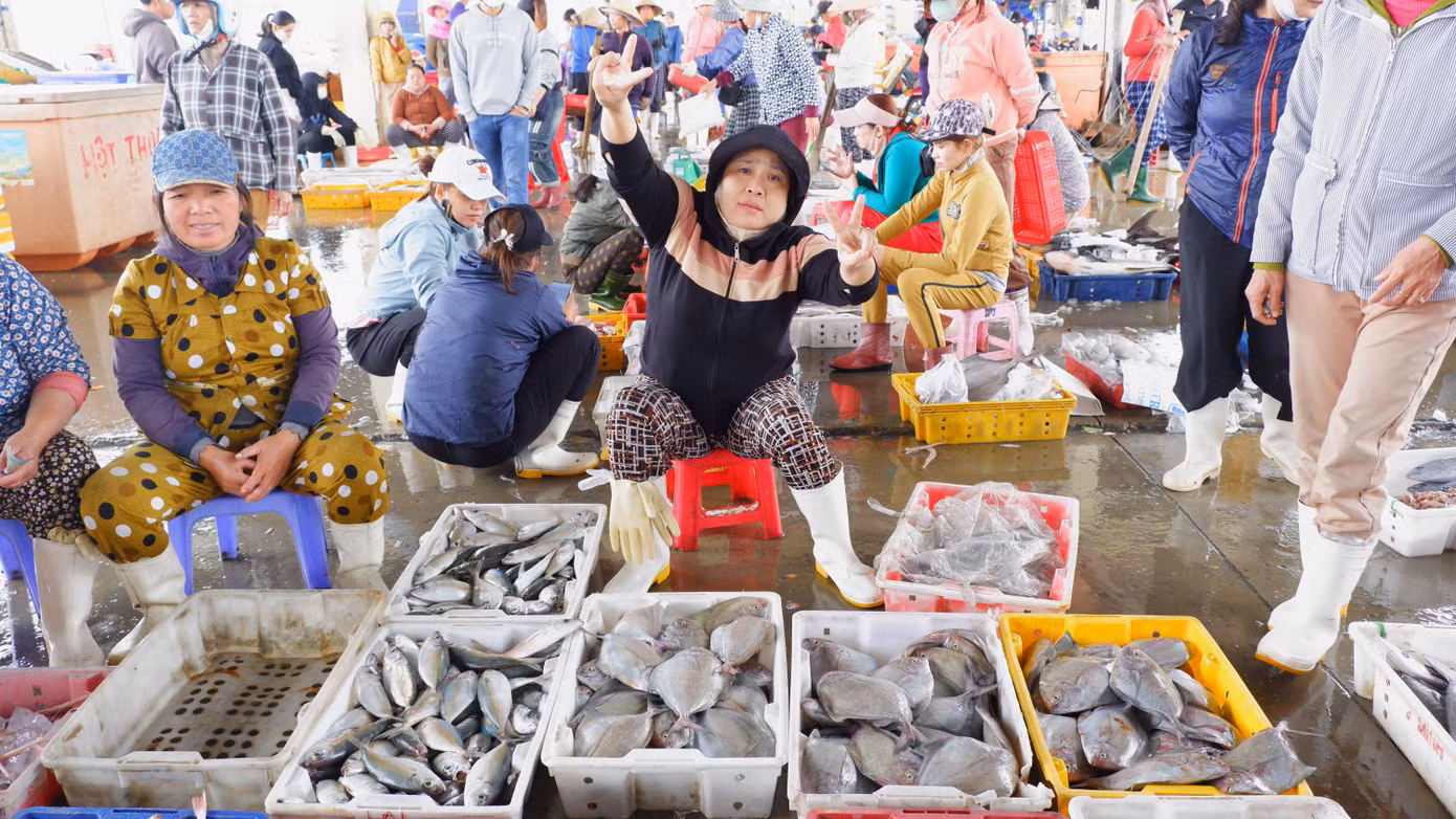Cá từ các tàu được vận chuyển lên bán lại cho thương lái. Các thương lái sau khi thu mua, một phần chở đi các địa phương, một phần bày bán ngay chợ cảng cá Thọ Quang.
