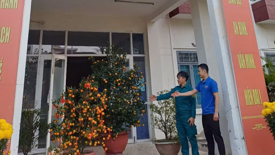 Các cây quất cảnh được người dân tặng cho Đoàn phường Nại Hiên Đông (Sơn Trà).