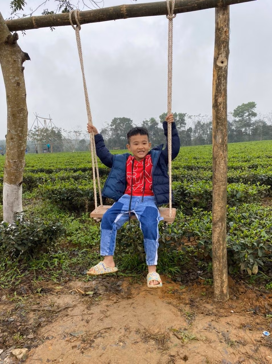 Thích thú bên xích đu giữa vườn chè xanh.