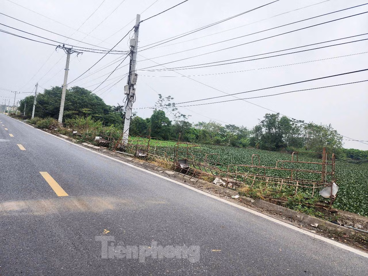 Một số đoạn không có cọc tiêu nhưng ven đường là ao hồ. Vì thế, người dân tự làm hàng rào để hạn chế nguy cơ tai nạn.