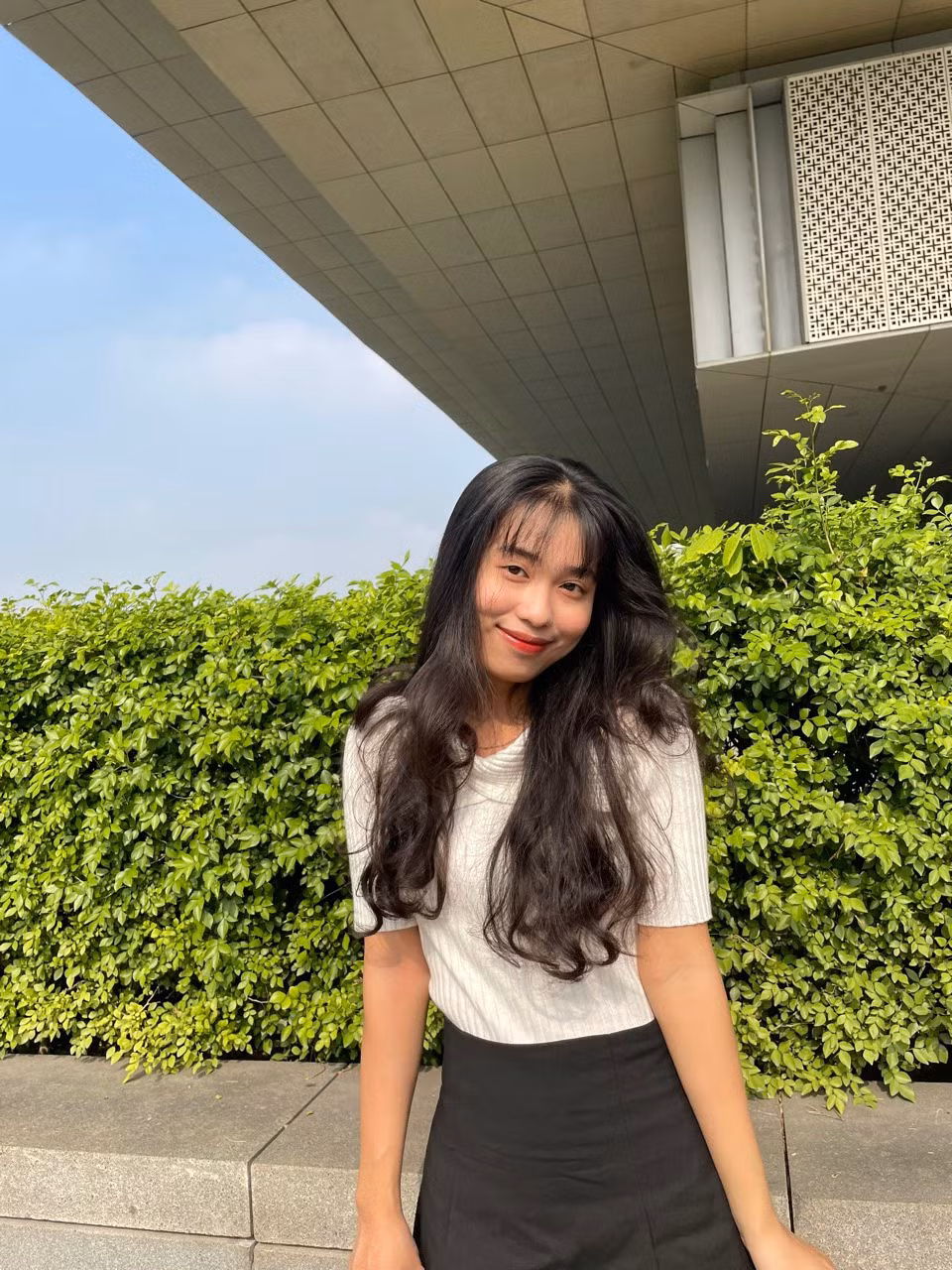Trần Thùy Linh hiện đang là sinh viên Trường Đại học Kinh tế Quốc dân, chuyên ngành Kinh doanh thương mại.