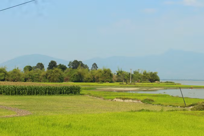 Thám hiểm rừng thiêng ảnh 2