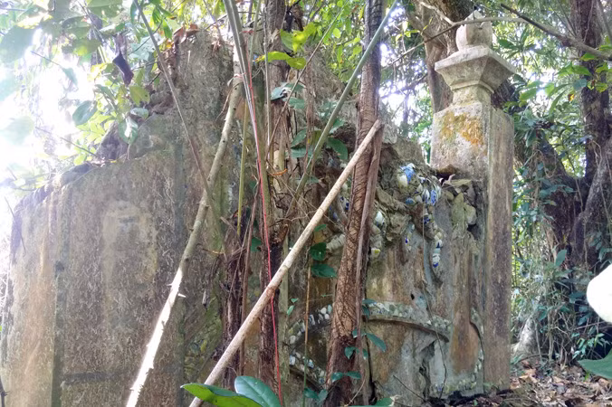 Nam Ô đã chết! ảnh 2