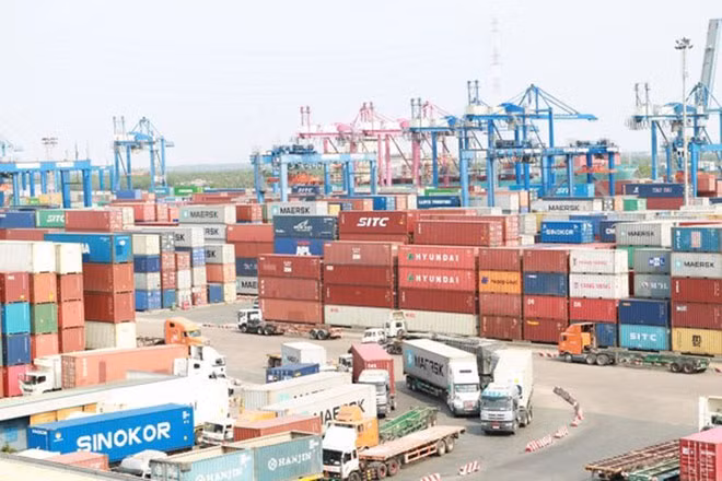 Mở kiểm tra hàng nghìn container phế liệu tồn đọng ảnh 6