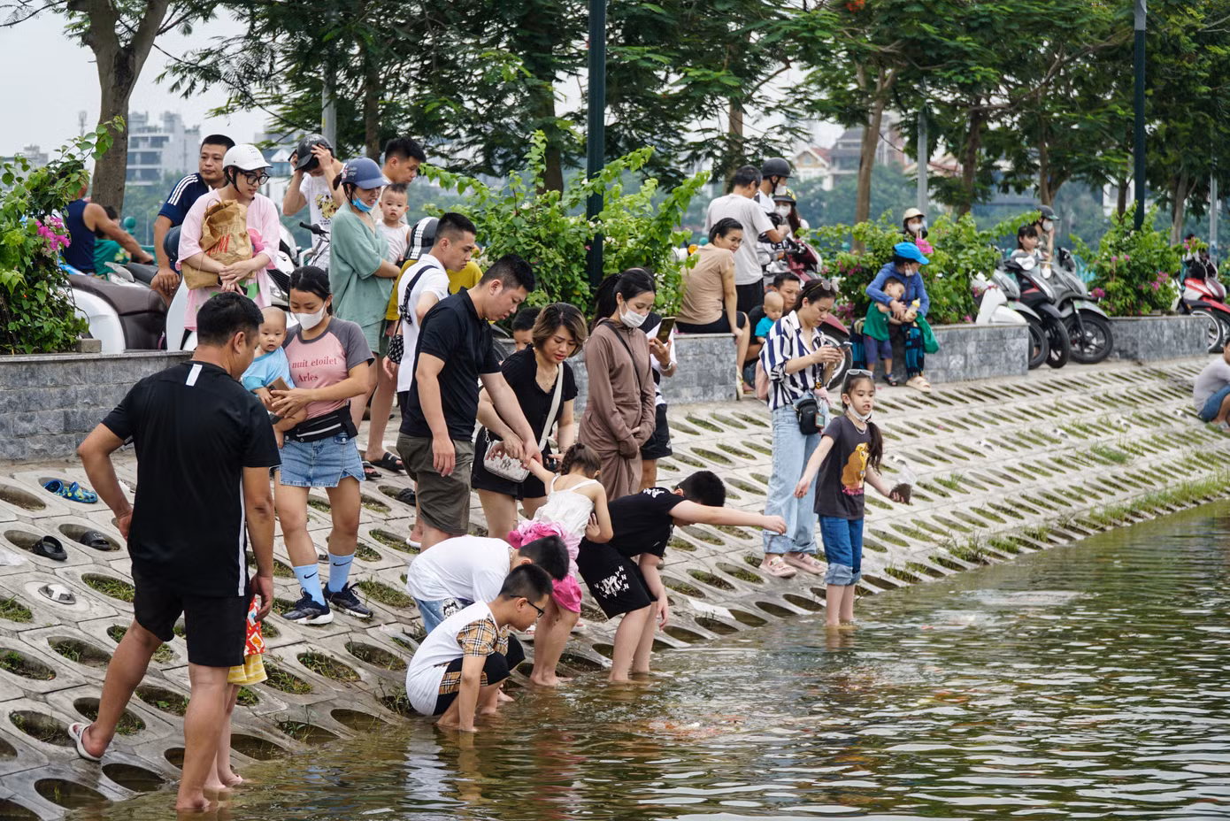 Hồ cá koi thu hút không chỉ giới trẻ mà còn nhiều gia đình đưa con nhỏ đến trải nghiệm.