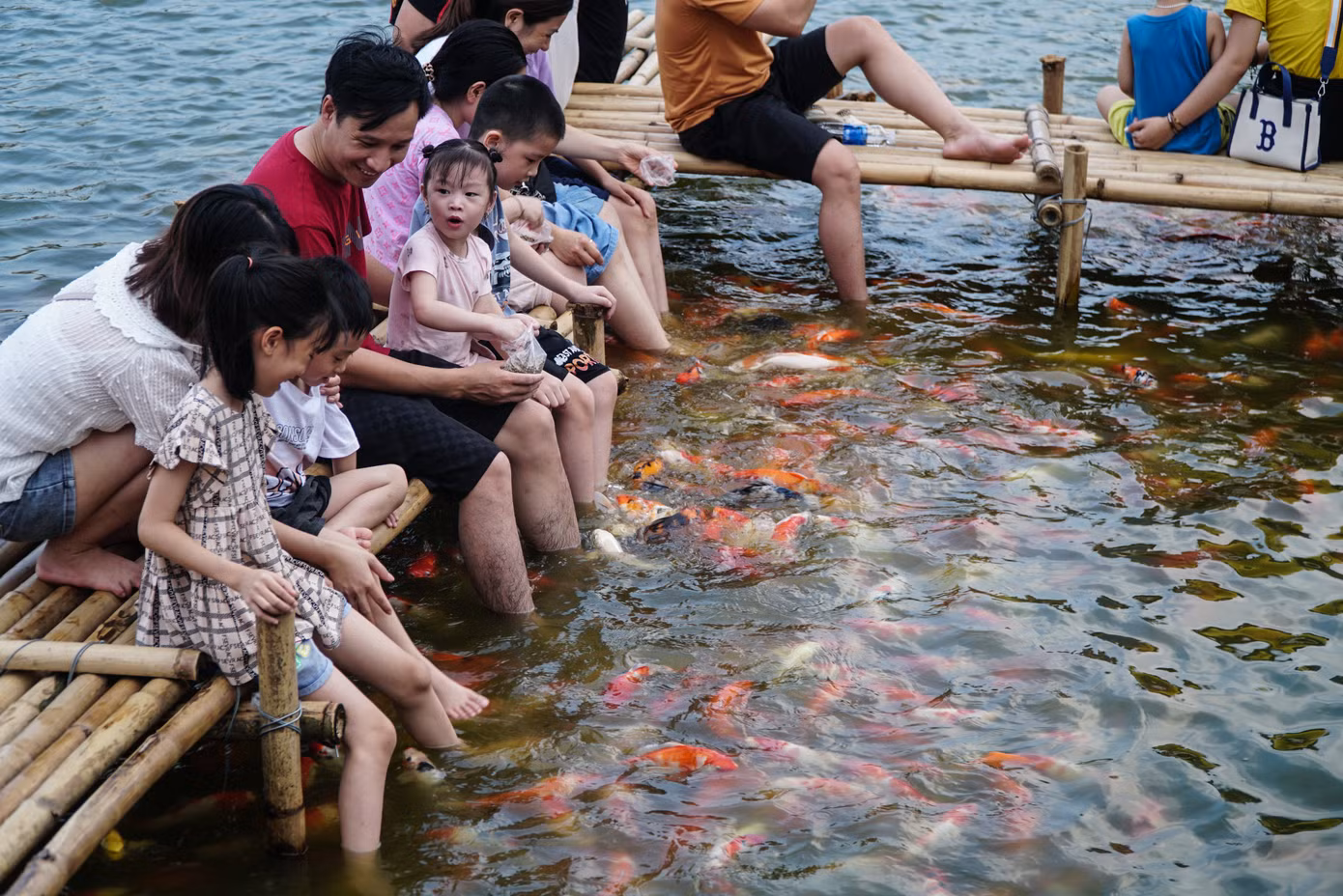 Trong những buổi chiều mát, rất đông người dân và du khách đã ghé đến phố Quảng Bá để chiêm ngưỡng đàn cá koi bơi lội và cho cá koi ăn.