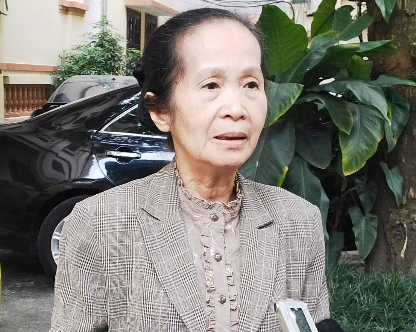Chuyên gia kinh tế Phạm Chi Lan