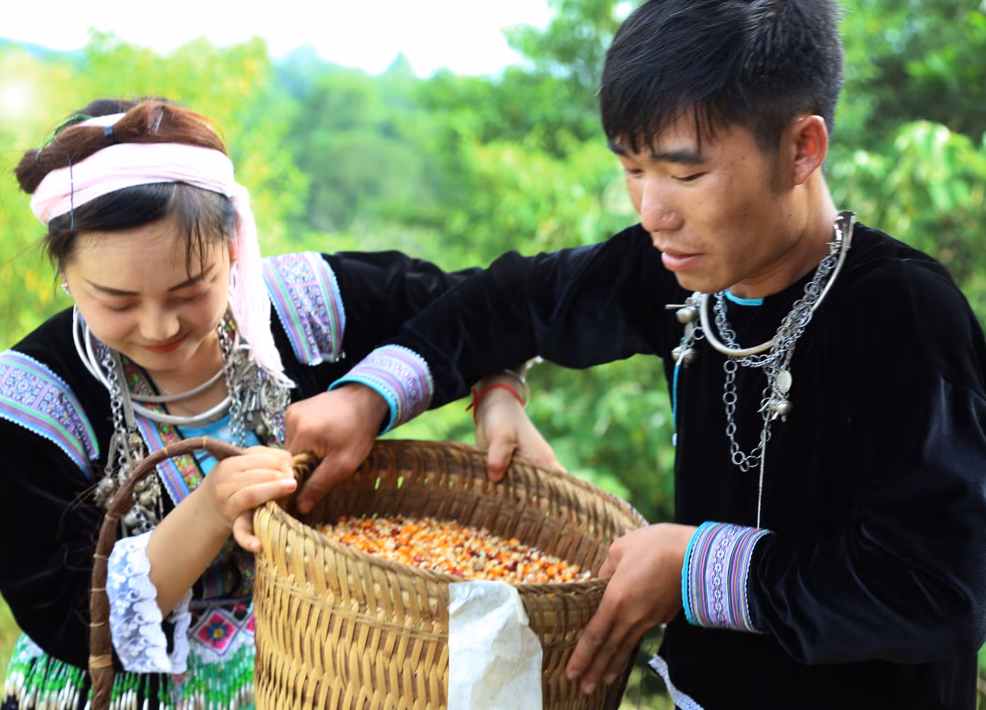Hạnh phúc được mùa