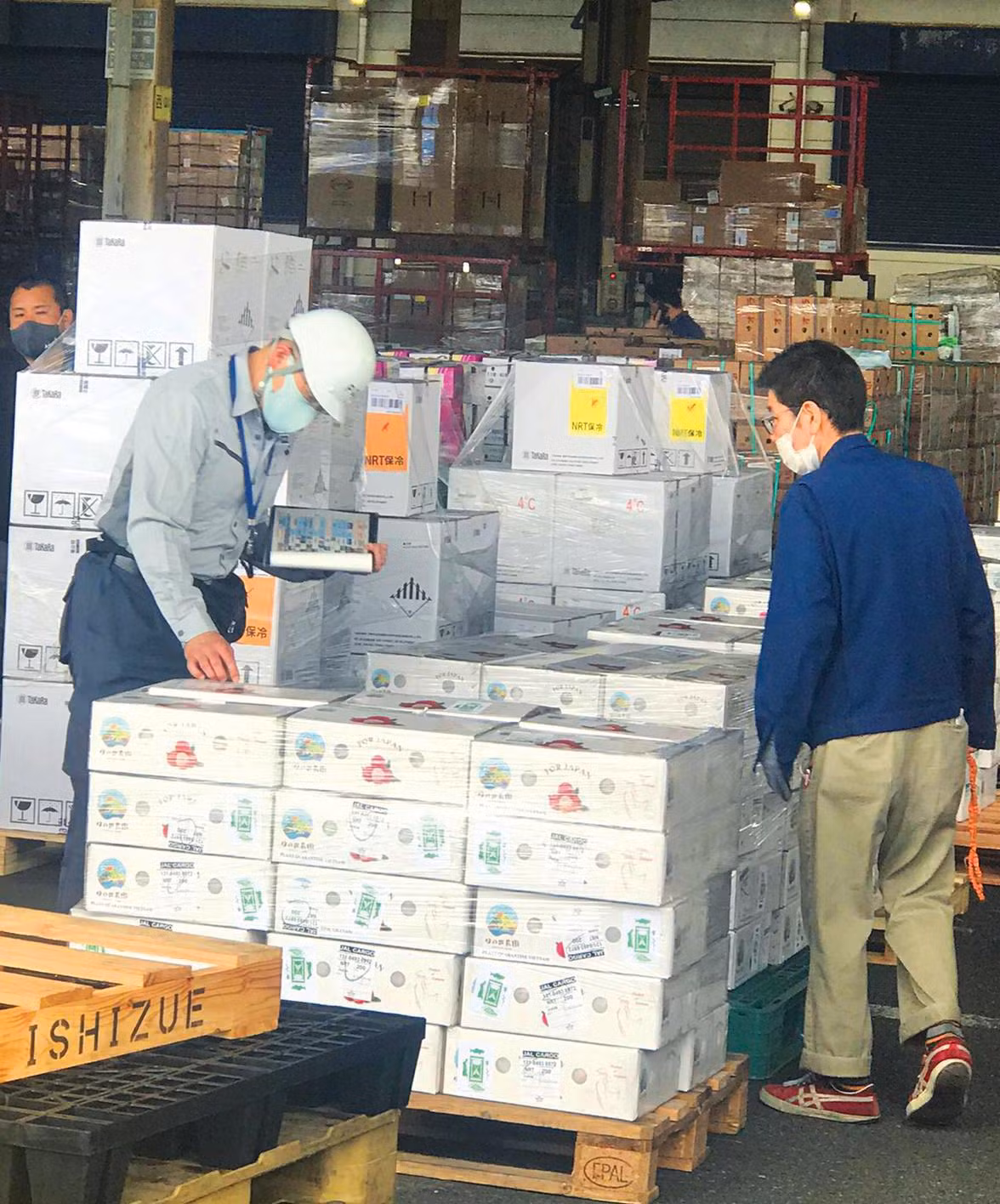 Các chuyên gia Nhật kiểm tra rất kỹ càng lô vải Việt Nam