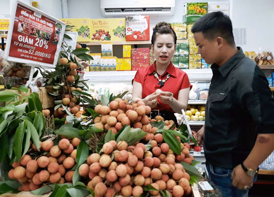 Nhân viên bán hàng giới thiệu sản phẩm vải Thanh Hà tới khách hàng.