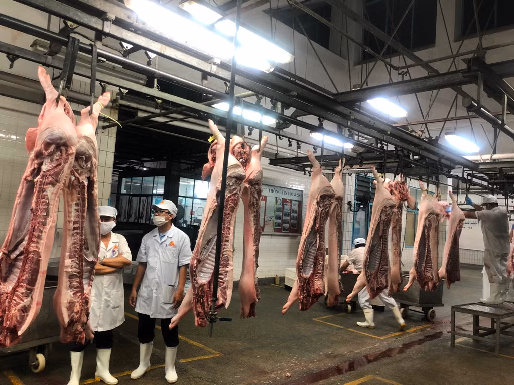 Doanh nghiệp không dám hạ giá thịt heo vì sợ dân nghi 'có vấn đề' ảnh 3