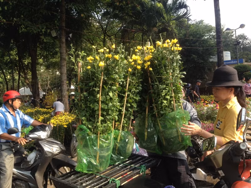 100.000 đồng/4 chậu hồng ngày 30 Tết ở Sài Gòn ảnh 6