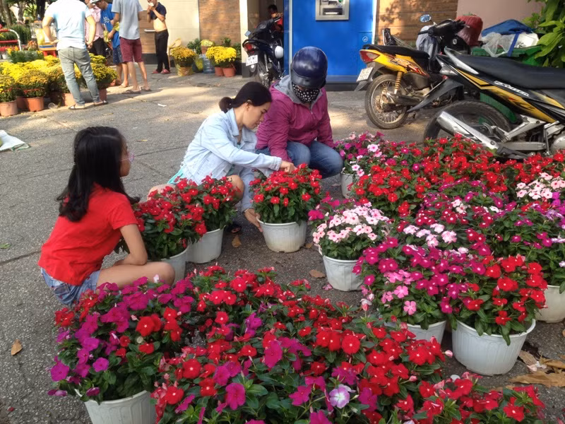 100.000 đồng/4 chậu hồng ngày 30 Tết ở Sài Gòn ảnh 13