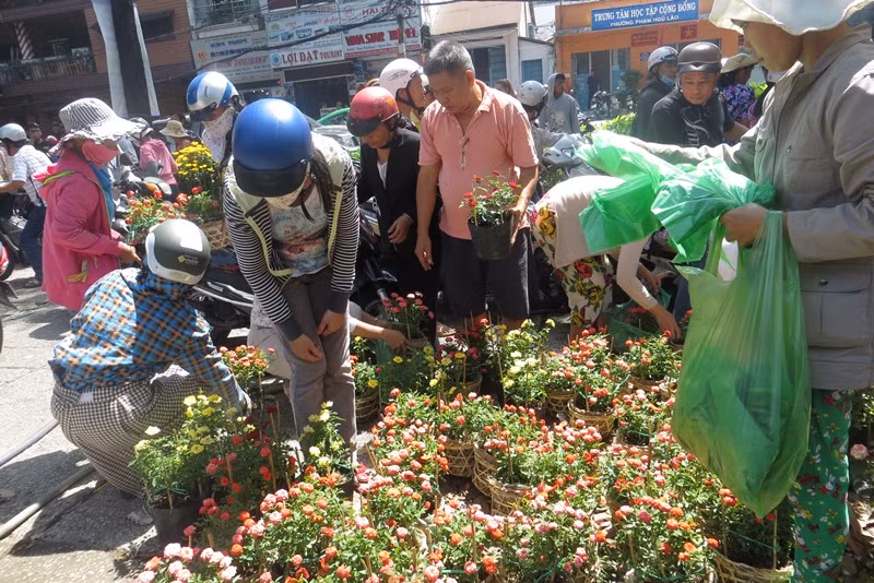100.000 đồng/4 chậu hồng ngày 30 Tết ở Sài Gòn ảnh 3
