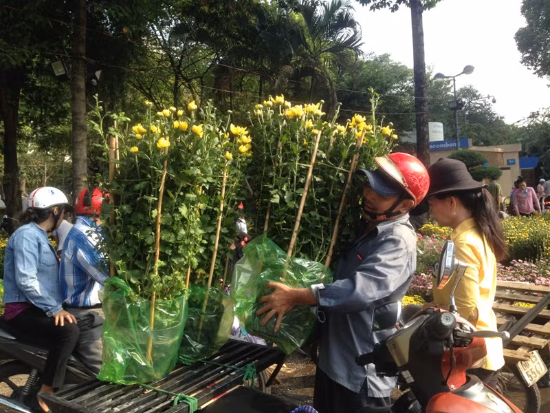 100.000 đồng/4 chậu hồng ngày 30 Tết ở Sài Gòn ảnh 11