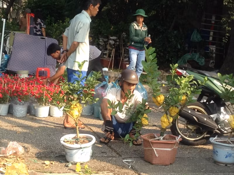 100.000 đồng/4 chậu hồng ngày 30 Tết ở Sài Gòn ảnh 12