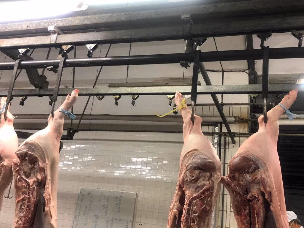 Doanh nghiệp không dám hạ giá thịt heo vì sợ dân nghi 'có vấn đề' ảnh 4