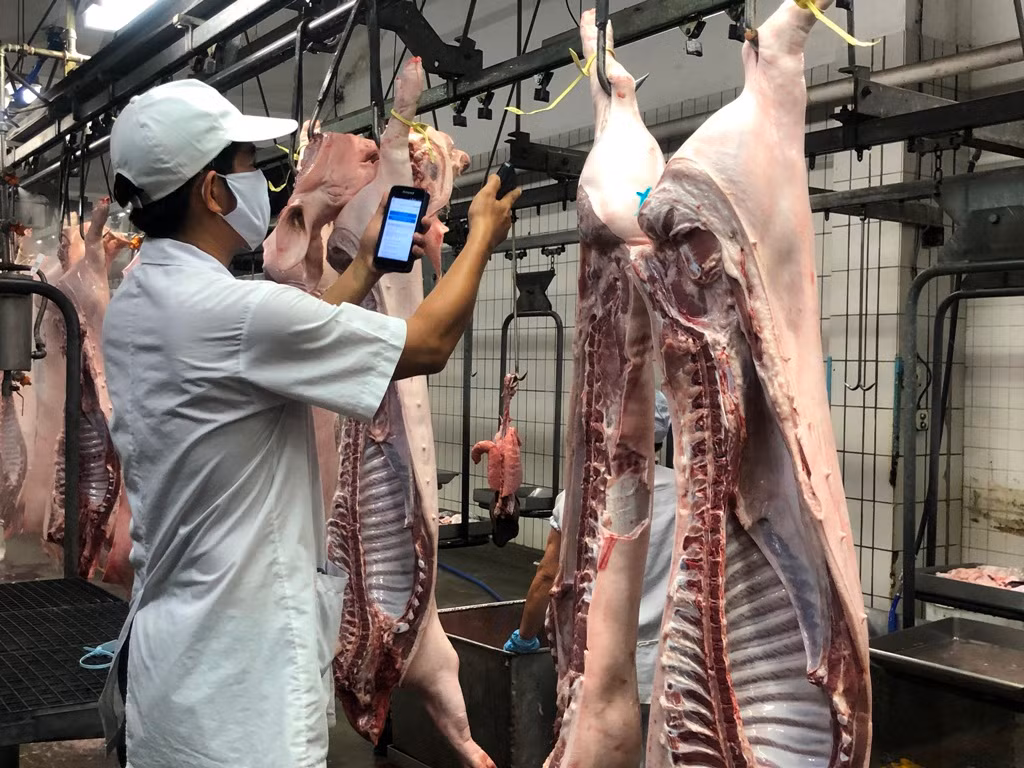 Doanh nghiệp không dám hạ giá thịt heo vì sợ dân nghi 'có vấn đề' ảnh 2