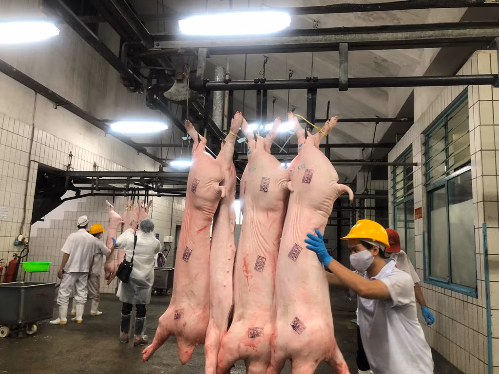 Doanh nghiệp không dám hạ giá thịt heo vì sợ dân nghi 'có vấn đề' ảnh 7
