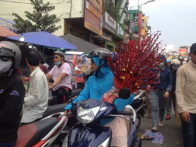 Hàng ngàn người chen chân ở chợ hoa sỉ lớn nhất Sài Gòn ảnh 9