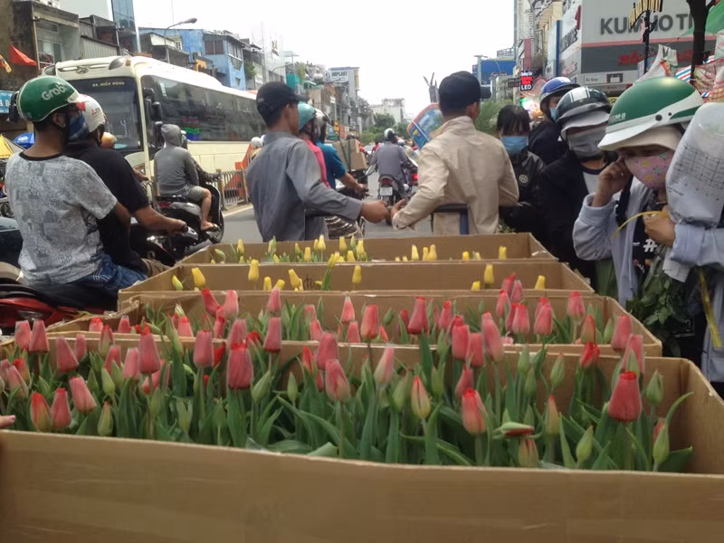 Hàng ngàn người chen chân ở chợ hoa sỉ lớn nhất Sài Gòn ảnh 21