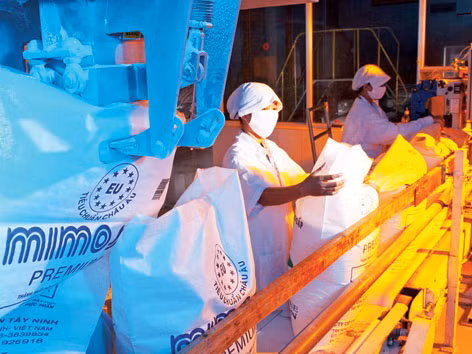 Cty đường Bourbon Tây Ninh đang chật vật cạnh tranh về giá và đối mặt với đường nhập lậu