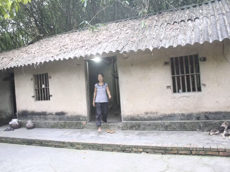 Ngôi nhà tồi tàn của vợ chồng ông Bé trong vườn cò