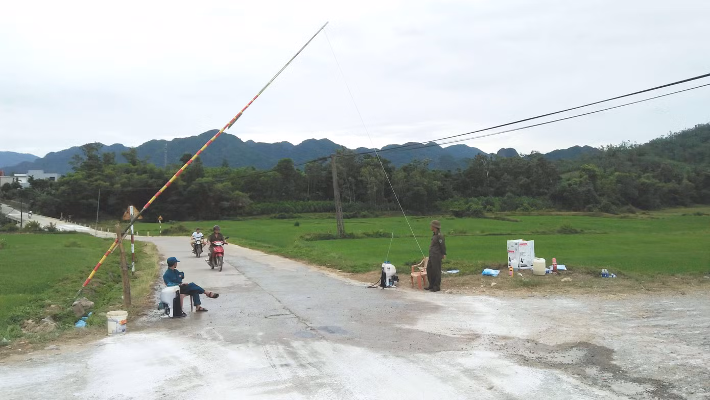 Ổ dịch tả lợn châu Phi lần đầu tiên bùng phát tại Quảng Bình ảnh 1