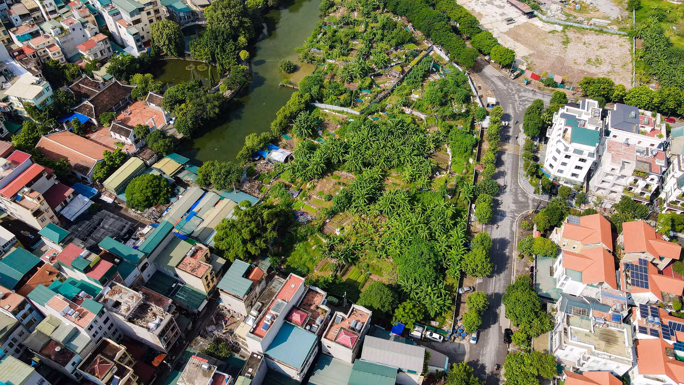 Ô đất có diện tích 1,1ha.