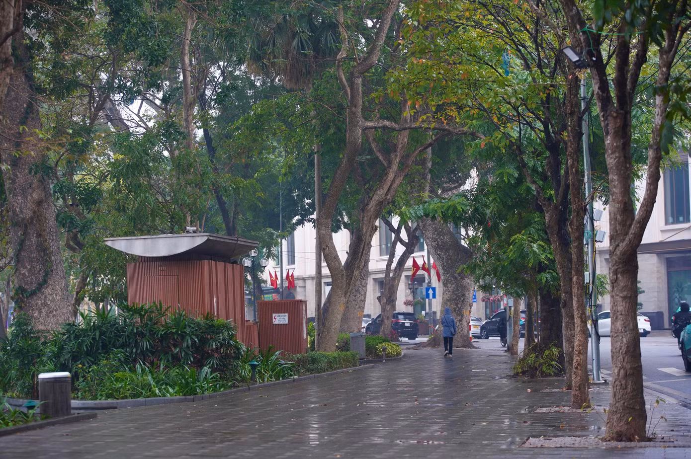 Vỉa hè quanh hồ Hoàn Kiếm vắng bóng người trong ngày mưa rét.