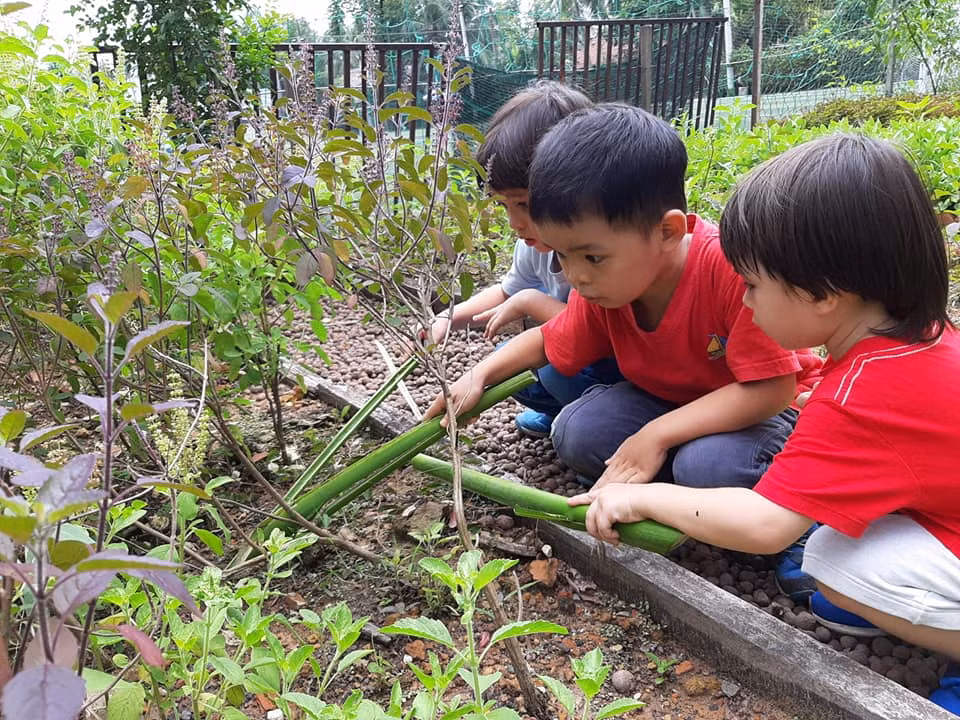 Muôn kiểu kỹ năng ảnh 1
