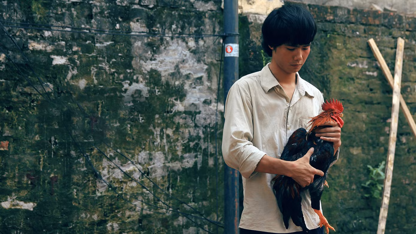 Cuộc sống của nhân vật chính chỉ xoay quanh mấy con gà.