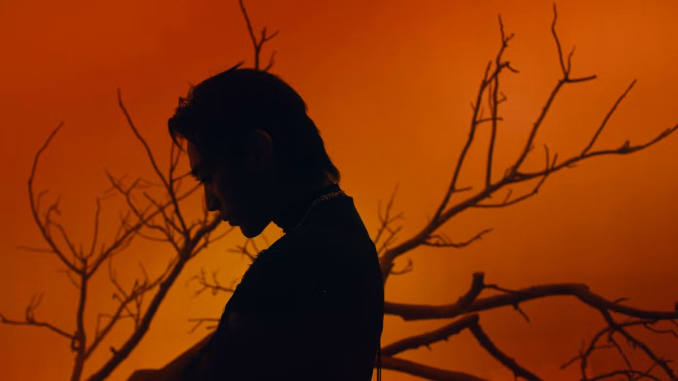 Một vài hình ảnh trong MV.