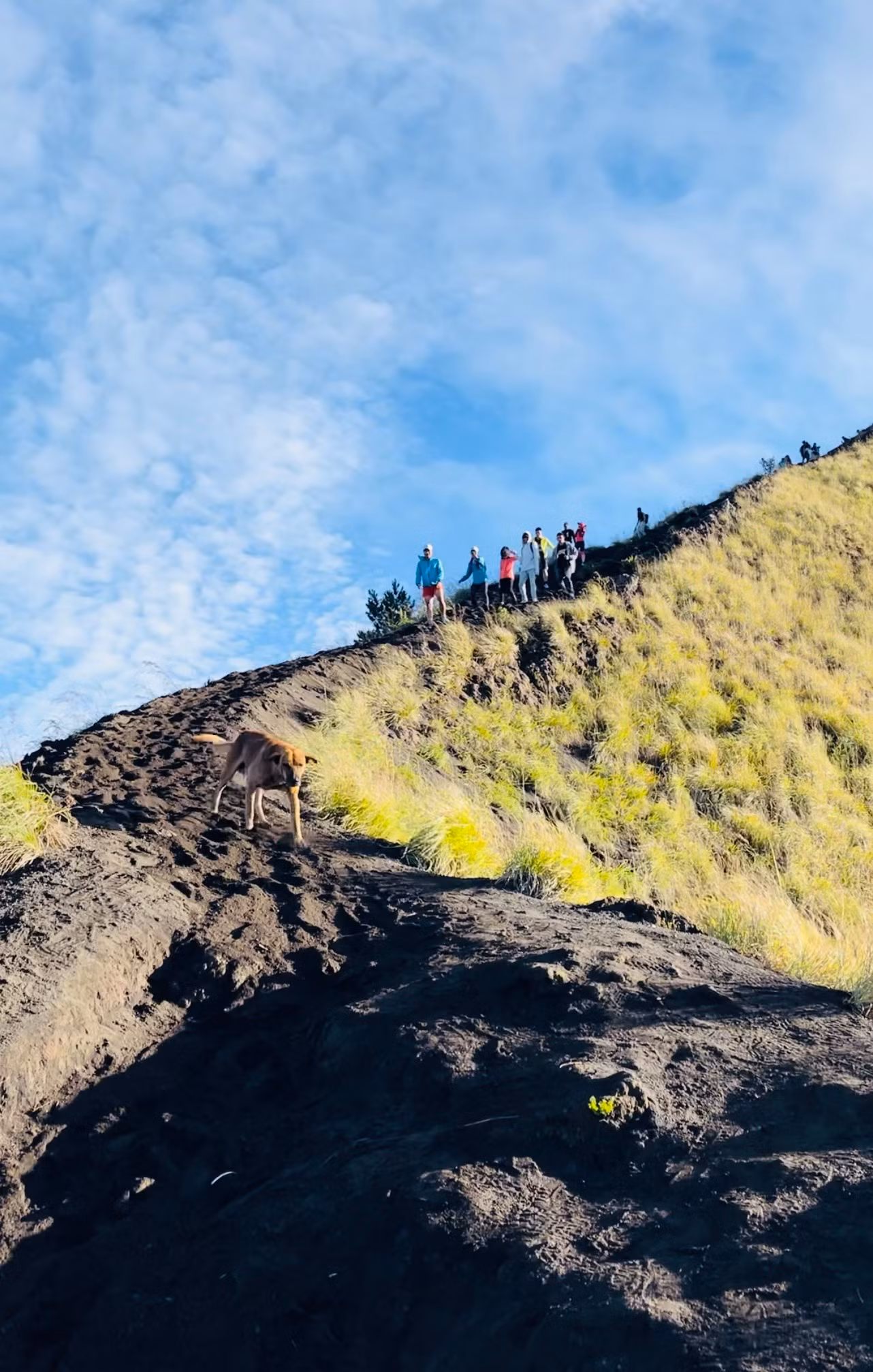 Hành trình trekking chỉ kéo dài 5km nhưng không dễ dàng vì độ dốc khá cao. Trung bình mỗi du khách sẽ mất từ 3-4 tiếng để lên đến đỉnh núi.