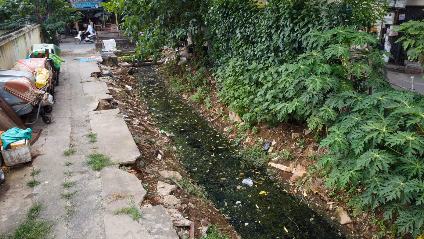 Dọc con ngõ 115 phố Trần Cung (quận Cầu Giấy) cũng có một con mương thoát nước dài khoảng 100m luôn trong tình trạng ô nhiễm nghiêm trọng từ lâu.