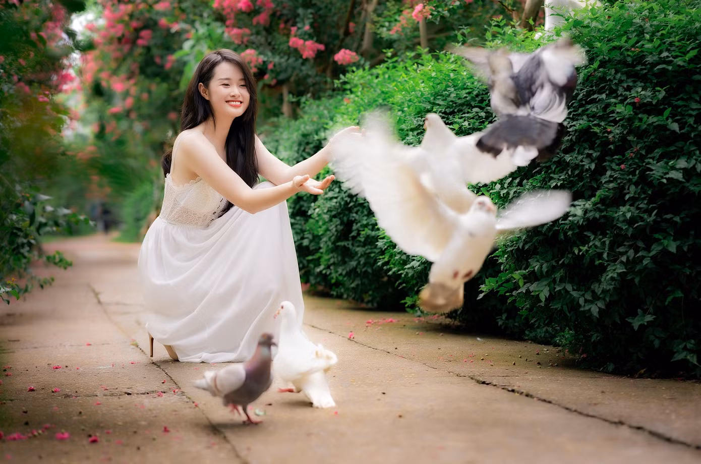 Những ngày này, hàng cây hoa tường vi đang độ bung nở rực rỡ đẹp nhất tạo nên cảnh sắc lung linh như các cung đường tình yêu lãng mạn trong phim ảnh.