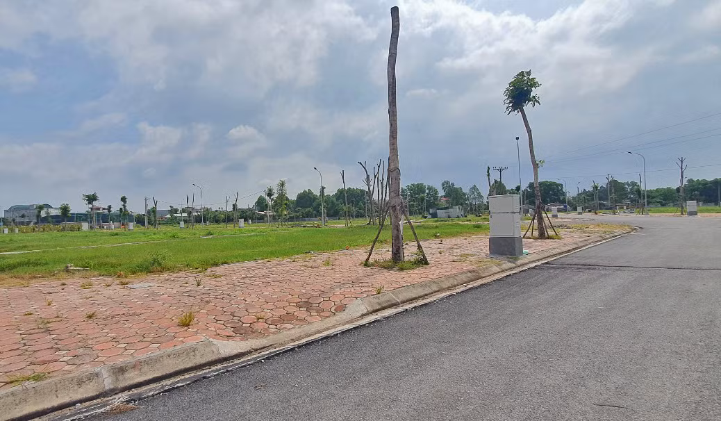 Các đại biểu cho rằng, cần làm rõ việc đảm bảo sự tương thích giữa quy hoạch sử dụng đất của cấp trên, cấp dưới, quy hoạch quốc gia, quy hoạch vùng.