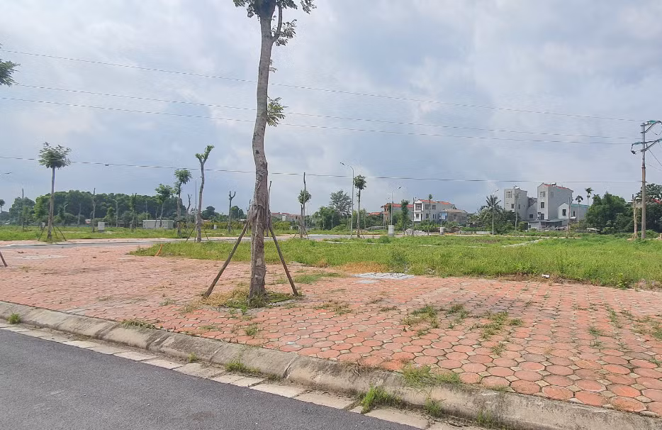 Thị trường đất nền miền Bắc giảm nhiệt diện rộng, ở hầu hết các địa bàn so với quý trước.